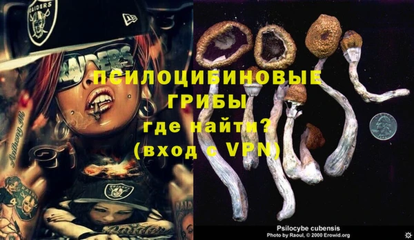 гидропоника Балахна