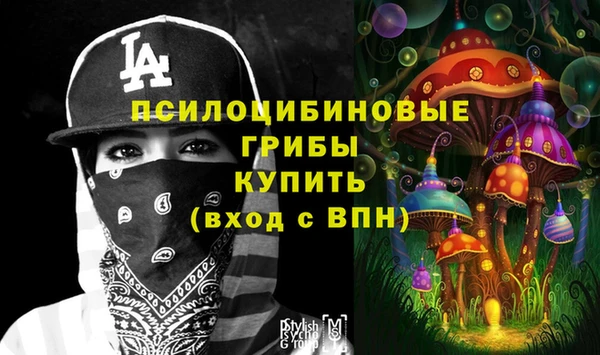 гидропоника Балахна