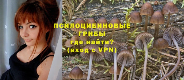 a pvp Баксан
