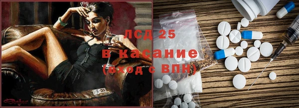 ГАЛЛЮЦИНОГЕННЫЕ ГРИБЫ Аркадак