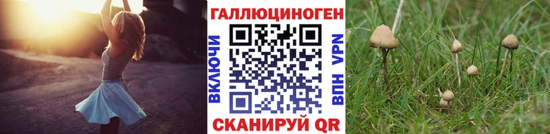 как найти закладки  Никольск  Псилоцибиновые грибы GOLDEN TEACHER 