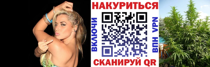 Канабис ГИДРОПОН Никольск
